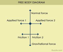 Every Macroscopic And Microscopic Body Or Object In The Universe Exerts Different Forces On The Surroundings As Well Body Diagram Physics How To Study Physics