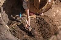 DIG | definition in the Cambridge English Dictionary