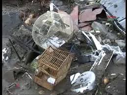 'deki sel felaketinin boyutu gün ağarınca ortaya çıktı! Rize Gundogdu Da Sel Felaketi Dailymotion Video