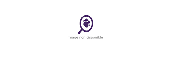 You can count on us to provide quality pet care seven days a week. Veterinaire A San Diego South San Diego Veterinary Hospital