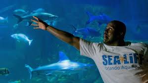 Shaq And Shark Week Sea Life Aquarium