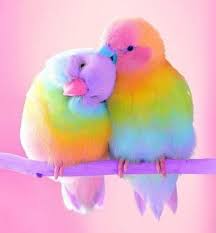 love birds cross stitch pattern instant download pdf animals beautiful beautiful birds pretty birds
