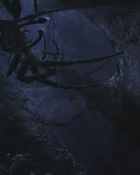(right image) to defeat the spider, weaken its fellows and then lift and throw them at their boss. Spider Harry Potter Wiki Fandom