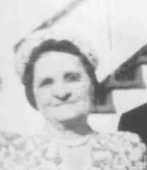 Genealogy of J.H. (Andy) Higgs