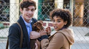 Critic reviews for hero dog: A Dog S Way Home Review Film Barks Up The Wrong Tree Newsday