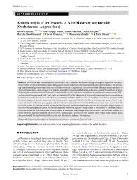 Image result for Microcoelia nyungwensis