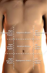 Duodenal ulcers are associated with pain in the ruq and right hypochondriac region. Hypochondriac Region Keyword Search Science Photo Library