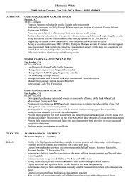 Throughout the bank and to represent the bank positively to current and potential clients. Cash Management Analyst Resume Samples Velvet Jobs