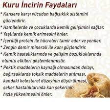 Saglikli Bilgileer Saglikli Bir Yasam Icin Saglikli Bilgileer Sayfamizi Takipte Kalin Bizi Takipte Kalin Sagl Saglikli Saglikli Yasam Tarzi Saglik