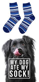 My Dog Ate A Sock What Should I Do In 2020 Dog Socks Dog Behavior Dog Eating