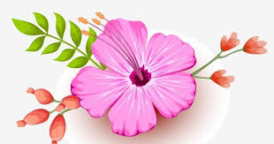 الزهور الوردية زهور الأوراق الخضراء زهور جميلة ربيع صور المتجهات مع المواد png beautiful flowers pink flowers green