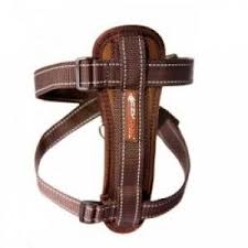 Ezydog Kopek Gogus Tasmasi Chest Plate X Small Kahverengi Uygun Fiyatli Binlerce Urun Popvitrin Com Da Sizi Bekliyor Hemen Tiklayin Kopek Gogus Kahverengi