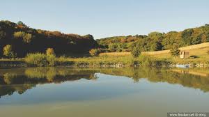 See full list on manastiriusrbiji.com Petkovica Monastery Monasteries Locations Fruska Gora Serbia