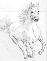 Running Arabian Horse Pencil Drawing By Teddie Mcconnell Horse Drawings Horse Pencil Drawing Horse Art This is optional, but it is very helpful to have a picture as a guide when drawing. horse drawings horse pencil drawing