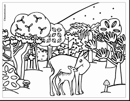 Coloring Pages Jungle Animals Unique Realistic Jungle Animals Coloring Pages In 2020 Animal Coloring Books Animal Coloring Pages Coloring Pages Winter