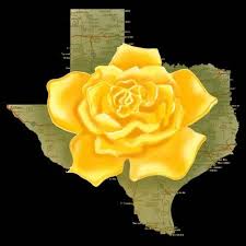 Yellow Rose Of Texas Texas Tattoos Texas Texas Girl
