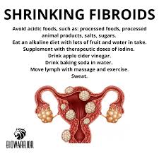 Try to ensure your diet is rich in fiber and essential fatty acids. Biowarrior Fibroids Uterine Leiomyomas Are Facebook