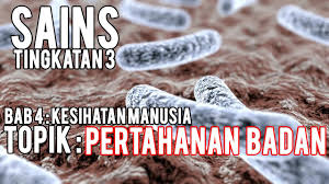 Project base learning 2 tujuan : Sains T 2 4 2 Pertahanan Badan Bab 4 Kesihatan Manusia Youtube