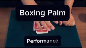 Keito K – Boxing Palm