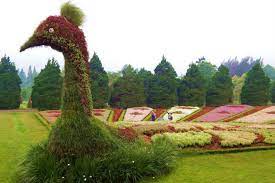 Untuk didalam, hanya berupa booth2 kecil. Enjoy Flora At Taman Bunga Nusantara Indoindians Com