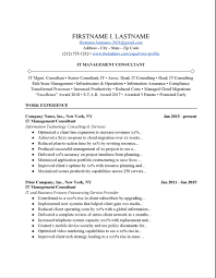 it management consultant resume example