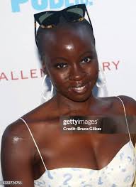 Daryl Beck and Saheem Ali pose at the Opening Night of Shakespeare In...  News Photo