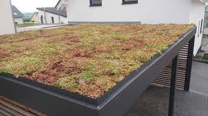 Trapezoidal Sheet Roof Total Green Roof Gardengarageideaspatio Green Roof Sheet Tota In 2020 Dach Gartenhaus Dach Carport Dach