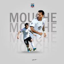 Tons of awesome colo colo wallpapers to download for free. 25 Ideas De Mis Backgrounds Colo Colo En 2021 Colocolo Fotos Del Equipo De Futbol Futbol Chileno