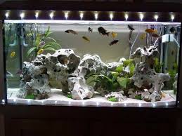 Diy Aquarium Decorations Diy Aquarium Decor Aquarium Decorations Fish Aquarium Decorations