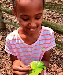 A Guide To Helping You Choose The Right School For Your Family