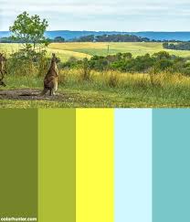 The Thinking Kangaroo Great Ocean Road Color Palette Nature Color Palette Color Palette Color Schemes