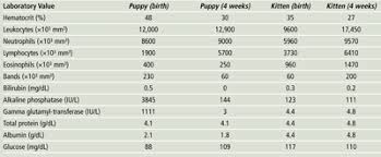 The Critical Neonate Under 4 Weeks Of Age Clinicians Brief