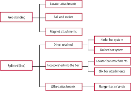 Framed by a dark exterior, the natural solid oak wood shelving is both fixed and adjustable to seamlessly create your ideal storage key details 47.5w x 18d x 83h. Implant Supported Overdentures Part 1 British Dental Journal