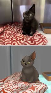 Animal creator apps, animal design games, and pet generators. People Send Pics Of Their Pets To This Artist And She Disneyfies Them 30 Pics Bored Panda