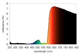 Is Human Blood Ever Any Color Other Than Red Science