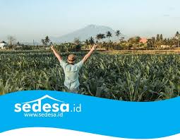 Mungkin kita semua harus merenung dan melihat peranan yang sudah kita mainkan dalam kemelut ini. Peluang Usaha Pendukung Desa Wisata Sedesa Id