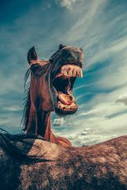 Laptop ultrahd background wallpaper for wide 16:10 5:3 widescreen wuxga wxga wga 4k uhd tv 16:9 4k & 8k ultra hd 2160p 1440p 1080p download laptop ultrahd wallpaper. Funny Wallpapers Free Hd Download 500 Hq Unsplash