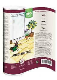 Gegen ameisenbefall im haus helfen in der regel einfach tricks, ohne gleich die chemiekeule zu schwingen. Ameisen In Haus Wohnung Effektiv Bekampfen Plantura