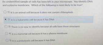 Check spelling or type a new query. An Unidentified Sample Of Cells Has Been Left In Your Chegg Com