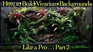 How To Build A Custom Diy Vivarium Like A Pro Part 2 Vivarium Pet Frogs Building