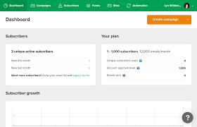 A free website allows you to publish up to 5 landing pages. Mailerlite Review An Affordable Email Marketing Platform