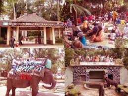 We did not find results for: Nostalgia Wisata Keluarga Di Kebun Binatang Bandung