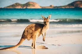 ▶become a cryptosrus insider to gain. Kraken Acquires Australian Crypto Platform Bit Trade Exchanges Bitcoin News
