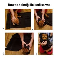 Kediler Neden Tislar Kedimag
