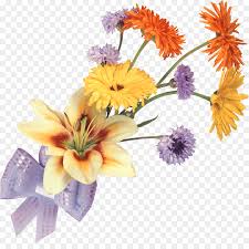 Next story commander bouquet de fleur. Fleur Des Champs Fleur Bouquet De Fleurs Png Fleur Des Champs Fleur Bouquet De Fleurs Transparentes Png Gratuit