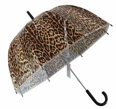 Image result for UmbrellaMushroom-Umbrella-Mush.Room
