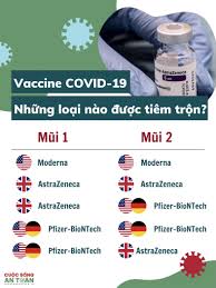 Virus hpv là 1 nhóm gồm có đến hơn 100 loại virus, hầu hết đều vô hại, không có xuất hiện triệu chứng và thường tự khỏi không cần điều trị. Infographic Nhá»¯ng Loáº¡i Vaccine Covid 19 Nao Ä'Æ°á»£c Bá»™ Y Táº¿ Cho Tiem Trá»™n
