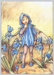 The Scilla Fairy Fairy Pictures Vintage Fairies Cicely Mary Barker