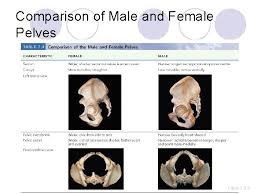 We did not find results for: The Upper Limb L The Upper Limb Consists