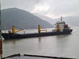 Image result for Tan 2009 Fleet